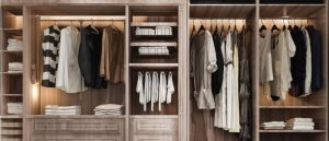 Wardrobe Interior Designs