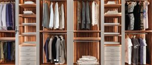 Wardrobe Interior Designs